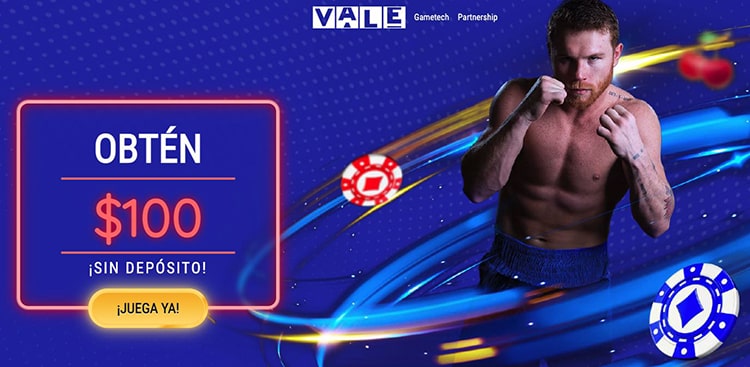 Casino Vale, belirli ödeme yöntemlerini kullanarak para